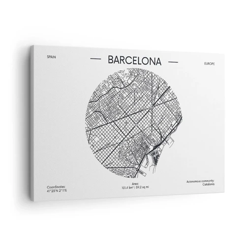 Obraz na plátně - Anatomie Barcelony - 70x50 cm