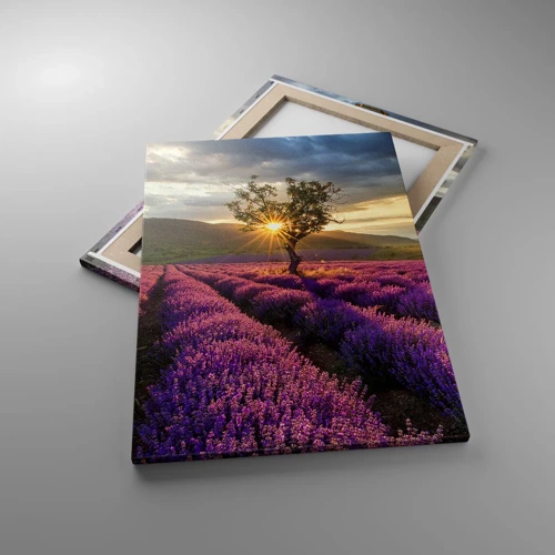 Obraz na plátně - Aroma v barvě lila - 50x70 cm