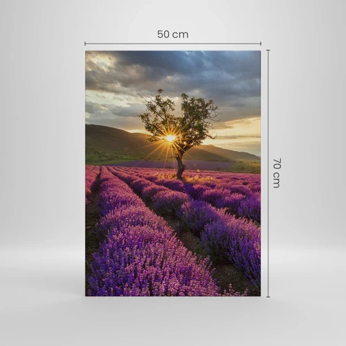 Obraz na plátně - Aroma v barvě lila - 50x70 cm