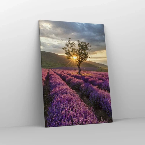 Obraz na plátně - Aroma v barvě lila - 70x100 cm