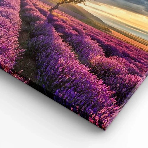 Obraz na plátně - Aroma v barvě lila - 70x70 cm