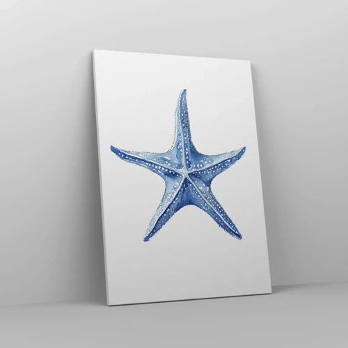 Obraz na plátně - Hvězda moře - 50x70 cm