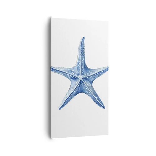 Obraz na plátně - Hvězda moře - 65x120 cm