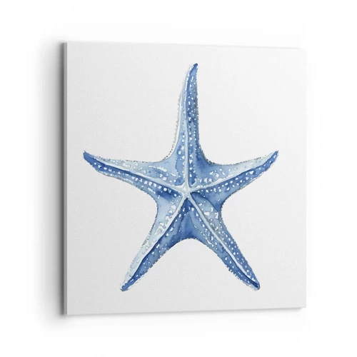 Obraz na plátně - Hvězda moře - 70x70 cm