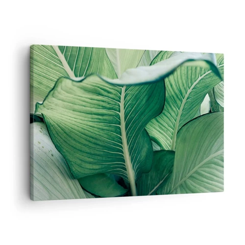 Obraz na plátně - Intenzivně zelený život - 70x50 cm