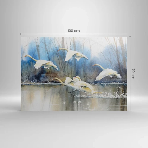 Obraz na plátně - Jako v povídce o divokých labutích - 100x70 cm