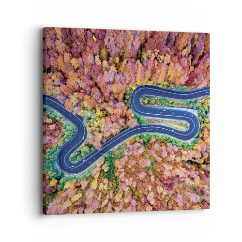 Obraz na plátně - Klikatá cesta lesem - 30x30 cm