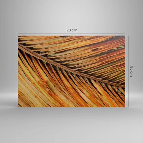 Obraz na plátně - Kokosové zlato - 120x80 cm