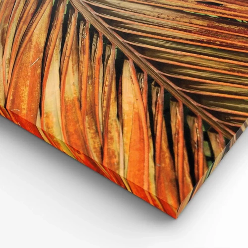 Obraz na plátně - Kokosové zlato - 55x100 cm