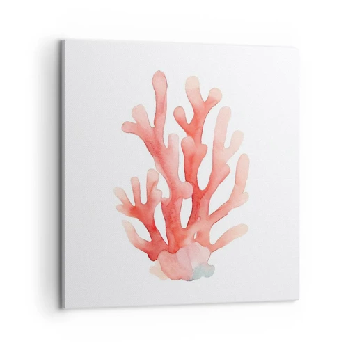 Obraz na plátně - Korálový korál - 50x50 cm