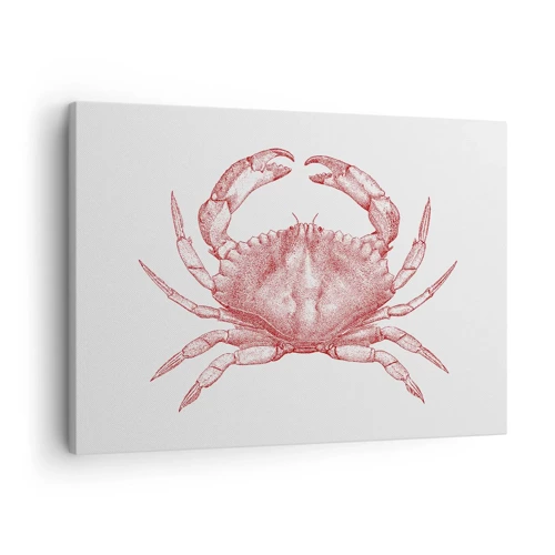 Obraz na plátně - Krab nad kraby - 70x50 cm