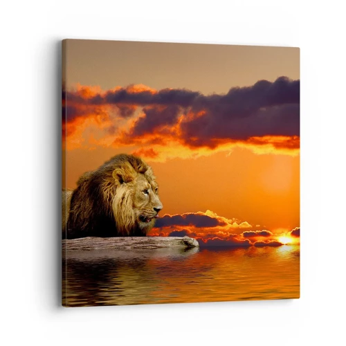 Obraz na plátně - Král přírody - 40x40 cm