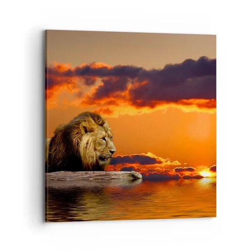 Obraz na plátně - Král přírody - 70x70 cm