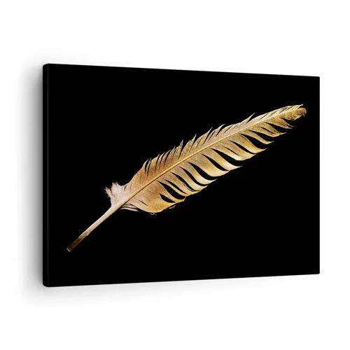 Obraz na plátně - Krásne peříčko… - 70x50 cm