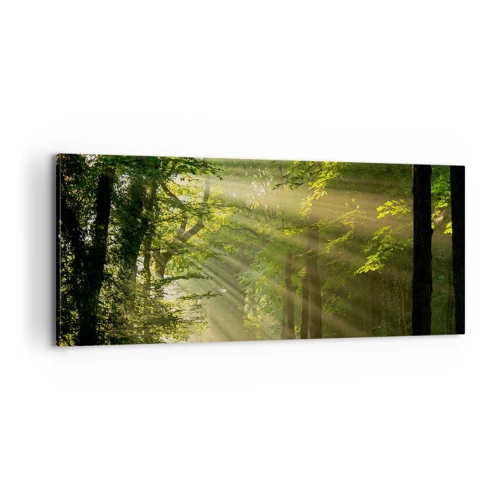 Obraz na plátně - Lesní okamžik - 100x40 cm