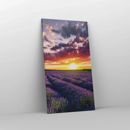 Obraz na plátně - Levandulový svět - 55x100 cm