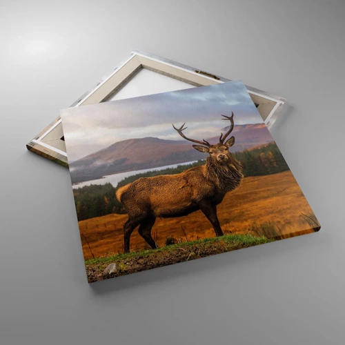 Obraz na plátně - Majestát přírody - 50x50 cm