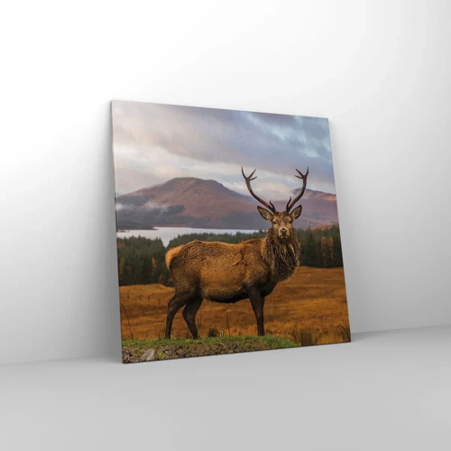 Obraz na plátně - Majestát přírody - 70x70 cm