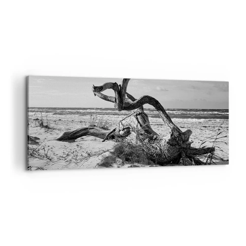 Obraz na plátně - Mořská socha - 100x40 cm