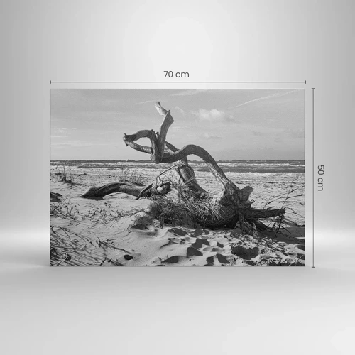 Obraz na plátně - Mořská socha - 70x50 cm