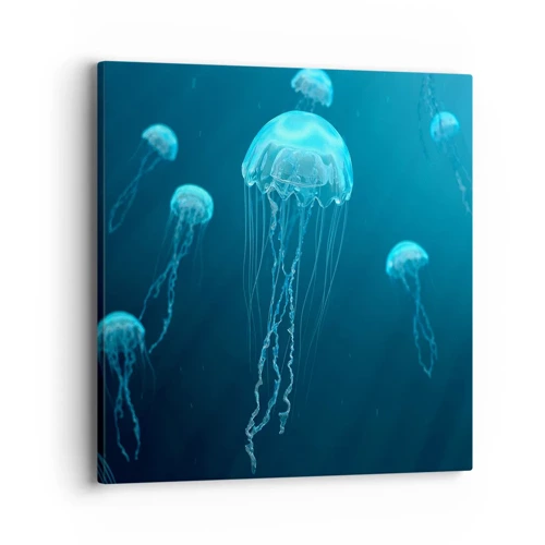 Obraz na plátně - Oceánský tanec - 40x40 cm