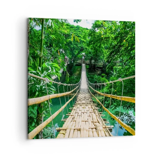 Obraz na plátně - Opičí most nad zelení - 50x50 cm