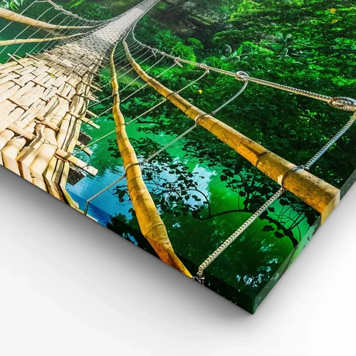 Obraz na plátně - Opičí most nad zelení - 65x120 cm