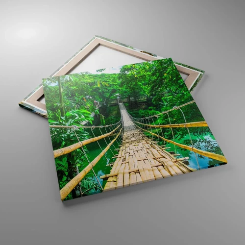 Obraz na plátně - Opičí most nad zelení - 70x70 cm