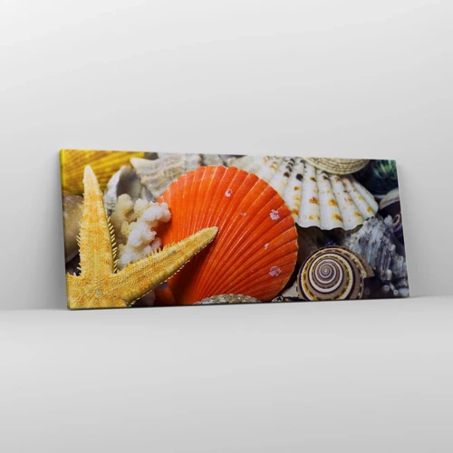 Obraz na plátně - Poklady oceánu - 100x40 cm