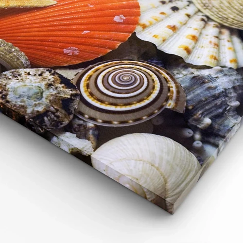 Obraz na plátně - Poklady oceánu - 100x40 cm
