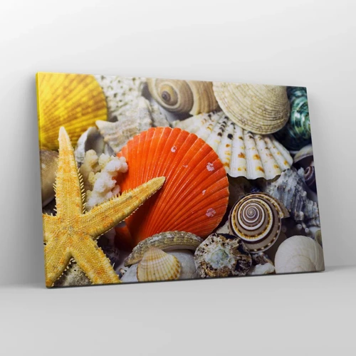 Obraz na plátně - Poklady oceánu - 120x80 cm