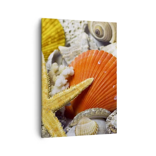 Obraz na plátně - Poklady oceánu - 50x70 cm