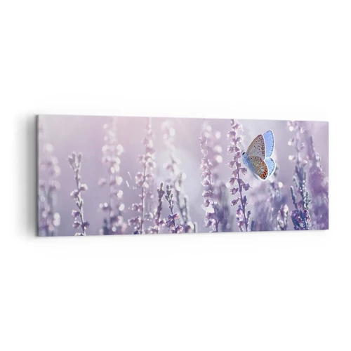 Obraz na plátně - Polibek motýla - 140x50 cm
