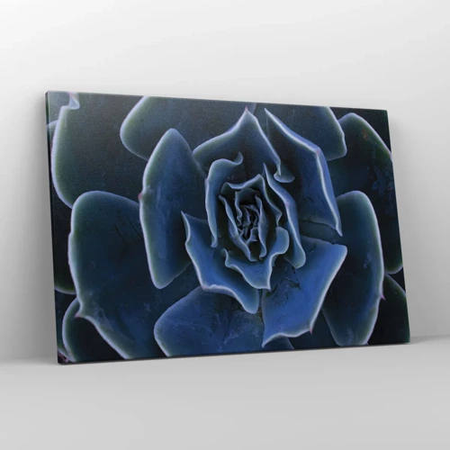 Obraz na plátně - Pouštní květ - 120x80 cm
