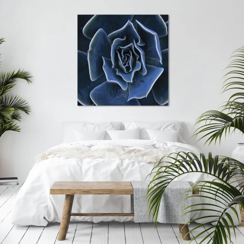 Obraz na plátně - Pouštní květ - 40x40 cm