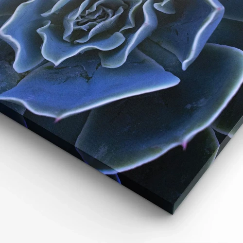 Obraz na plátně - Pouštní květ - 45x80 cm