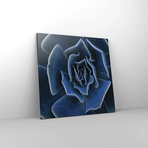 Obraz na plátně - Pouštní květ - 60x60 cm