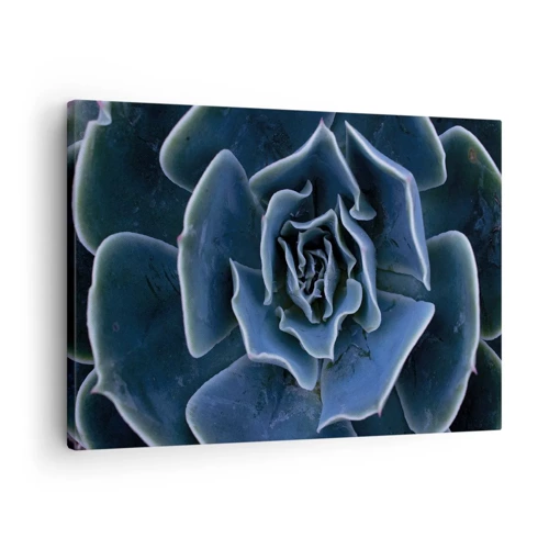 Obraz na plátně - Pouštní květ - 70x50 cm
