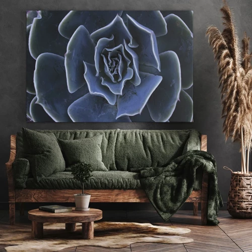 Obraz na plátně - Pouštní květ - 70x50 cm