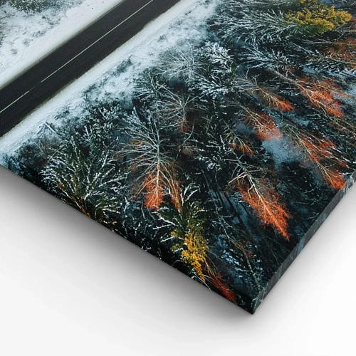 Obraz na plátně - Přes zimní les - 30x30 cm
