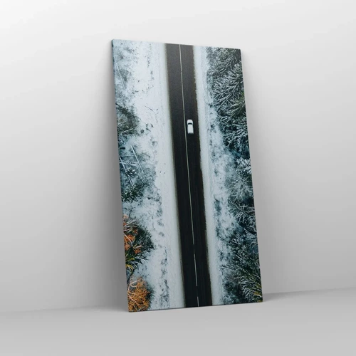 Obraz na plátně - Přes zimní les - 65x120 cm
