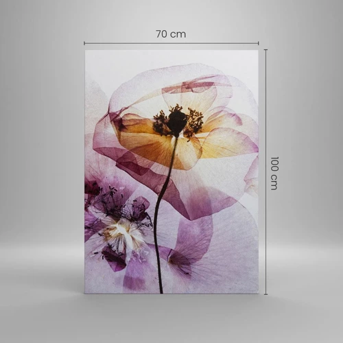 Obraz na plátně - Průhledné těla květin - 70x100 cm