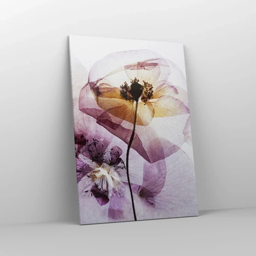 Obraz na plátně - Průhledné těla květin - 70x100 cm