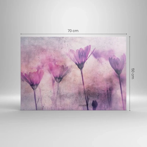 Obraz na plátně - Sen květin - 70x50 cm
