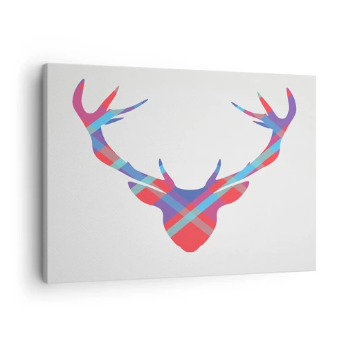 Obraz na plátně - Skotský jelen - 70x50 cm