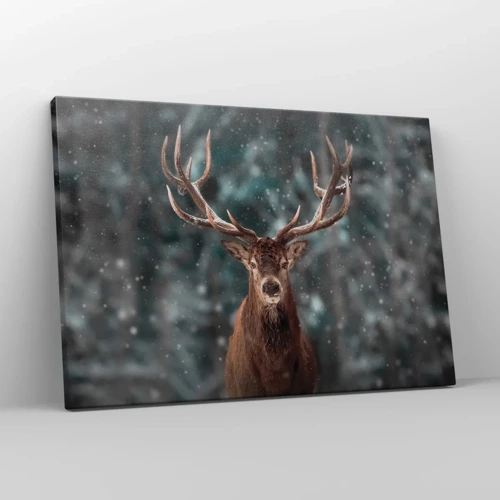Obraz na plátně - Skutečný král lesa - 70x50 cm