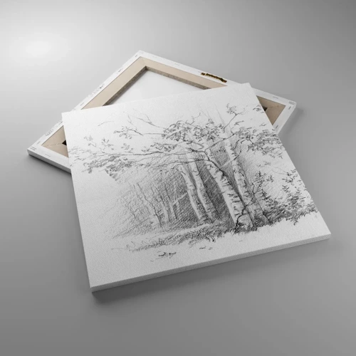 Obraz na plátně - Světlo březového lesa - 50x50 cm