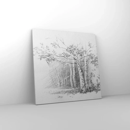 Obraz na plátně - Světlo březového lesa - 50x50 cm