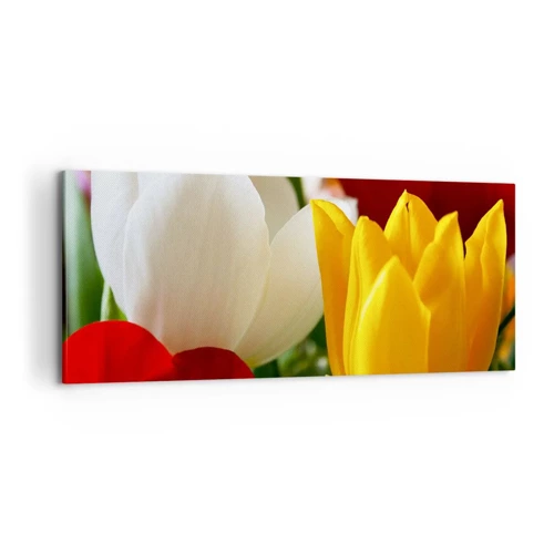 Obraz na plátně - Tulipánová horečka - 100x40 cm