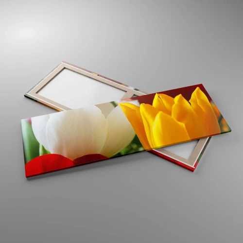 Obraz na plátně - Tulipánová horečka - 140x50 cm